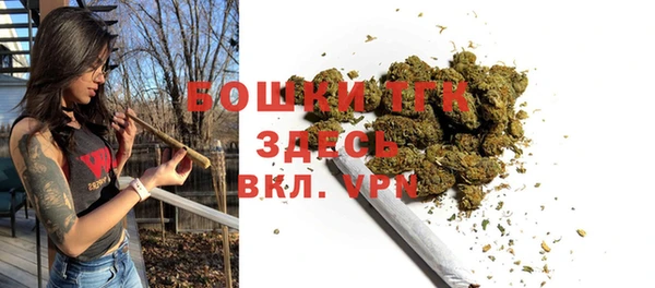 ешки Бронницы
