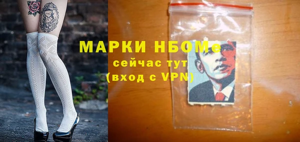 гидра Белокуриха